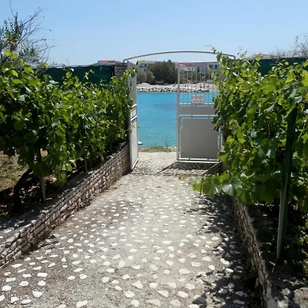 Zivana * Rogoznica (Sibenik-Knin)