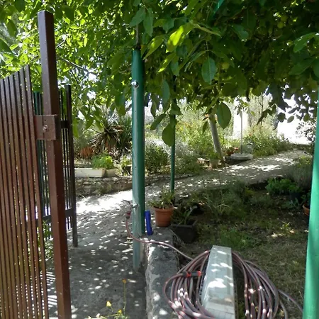 Zivana Apartamento Rogoznica (Sibenik-Knin)